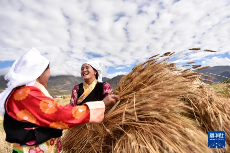 जुएगुओ：शीत्सांग की सच्चाई का अभिलेख और प्रस्तुति