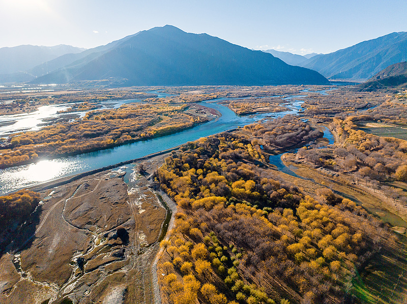 यानी आर्द्रभूमि में शरद का रंग: हरियाली में घुलती सुनहरी आभा