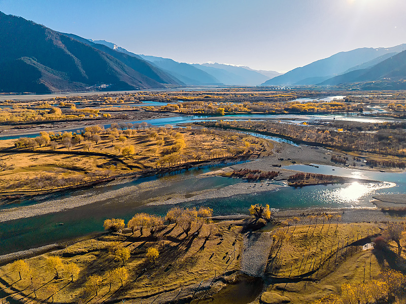 यानी आर्द्रभूमि में शरद का रंग: हरियाली में घुलती सुनहरी आभा