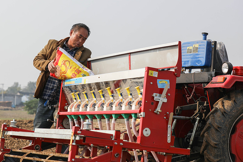 देशभर में शीतकालीन गेंहूँ की बुआई लगभग 70% पूरी