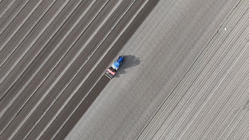देशभर में शीतकालीन गेंहूँ की बुआई लगभग 70% पूरी