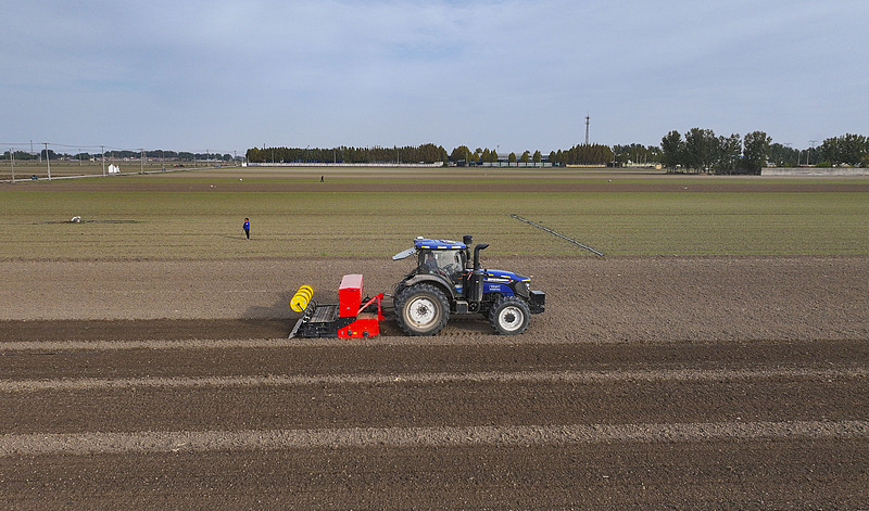 देशभर में शीतकालीन गेंहूँ की बुआई लगभग 70% पूरी