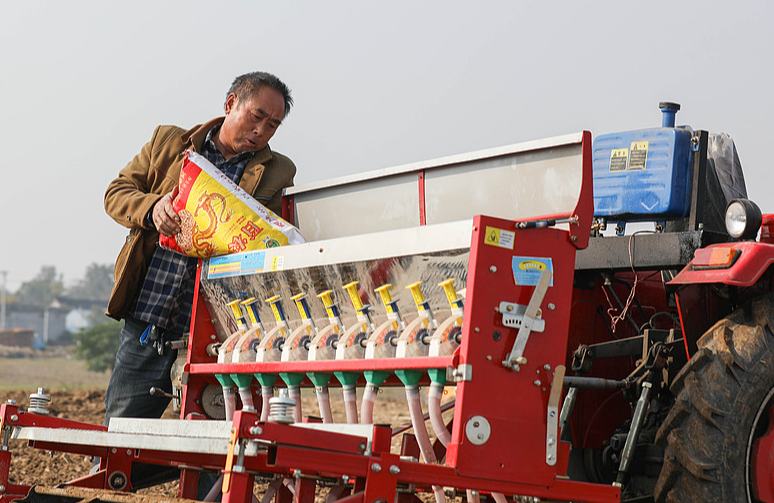 देशभर में शीतकालीन गेंहूँ की बुआई लगभग 70% पूरी