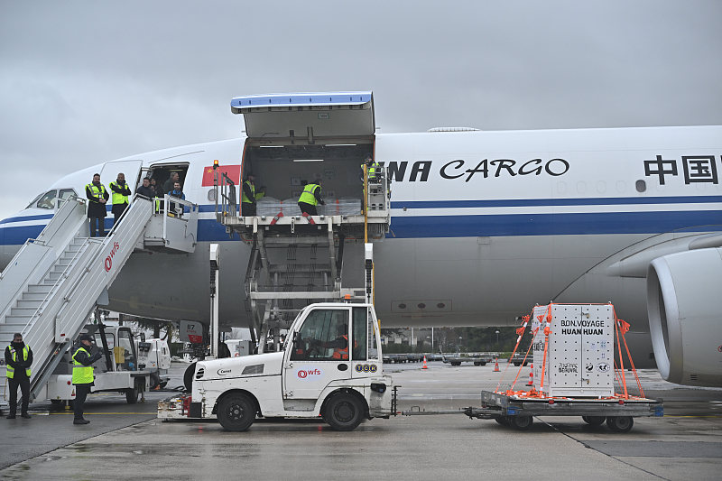 फ्रांस में रह रहे चीनी विशाल पांडा “हुआनहुआन” और ‘”युआन्ज़ाई” स्वदेश लौटने के लिए रवाना