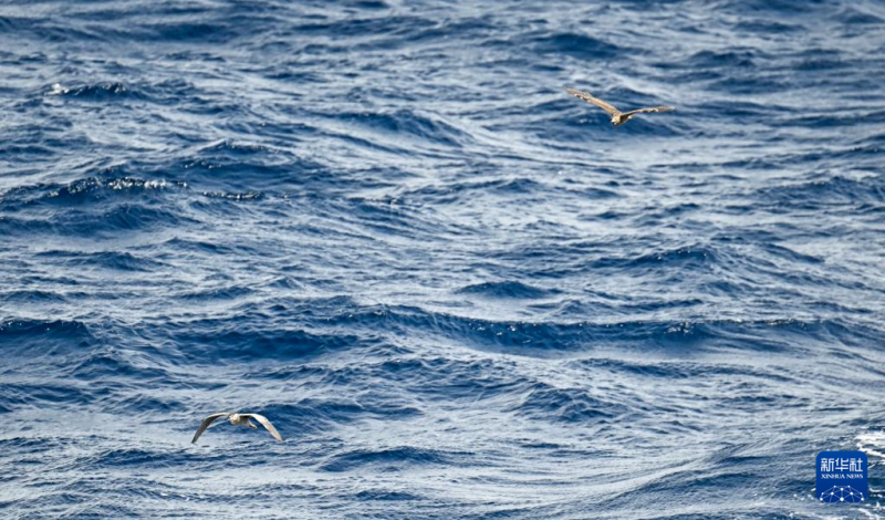 चीन का दक्षिण सागर - सुंदरता में लिपटा एक जीवंत चित्र की भांति