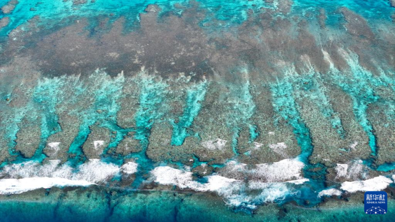 चीन का दक्षिण सागर - सुंदरता में लिपटा एक जीवंत चित्र की भांति