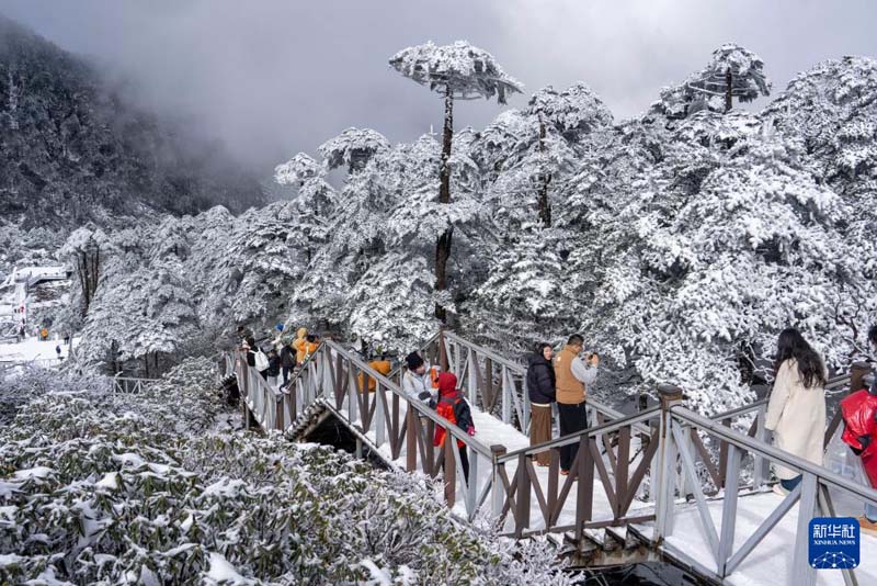 युनान दाली का चांगशान: बर्फ़ीली वादियाँ पर्यटकों के आकर्षण का केंद्र बनीं