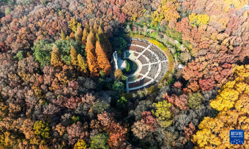 विविधरंगी शीत ऋतु