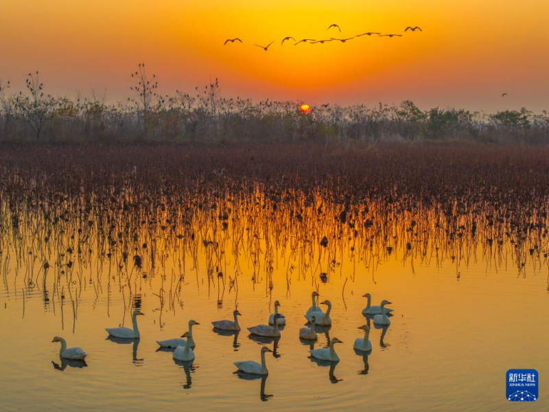 विविधरंगी शीत ऋतु