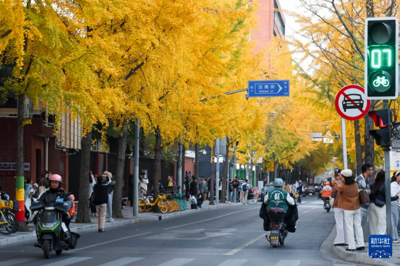 विविधरंगी शीत ऋतु