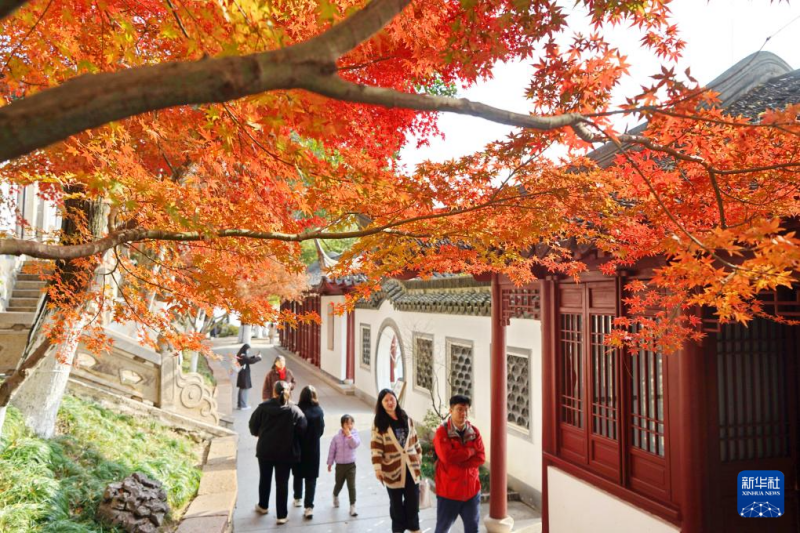 शीतकालीन वन में मौन नहीं, रंग अब भी जीवंत