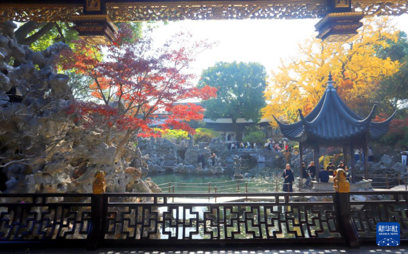 शीतकालीन वन में मौन नहीं, रंग अब भी जीवंत