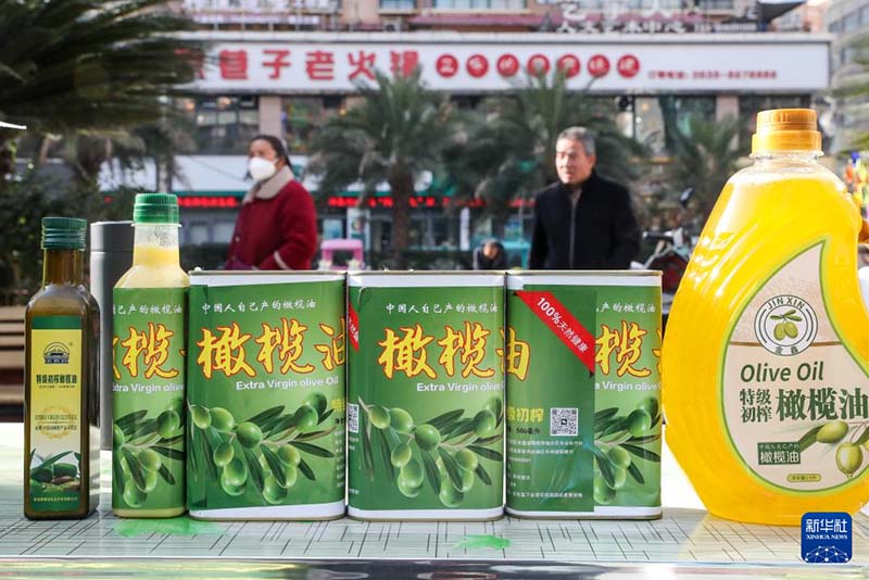 गांसू प्रांत के लोंगनान नगर में “शीत अयनांत महा-हाट” बना किसानों की आय बढ़ाने का माध्यम