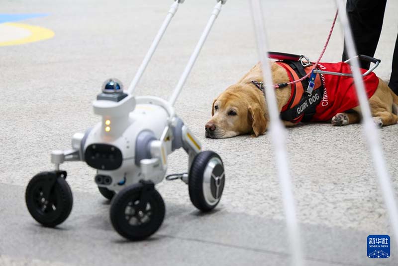 शेनजेन मेट्रो में नेत्रहीन यात्रियों के लिए स्मार्ट मार्गदर्शक कुत्तों की पायलट सेवा शुरू