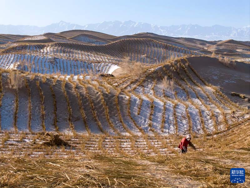 गांसू के आकसाई में बर्फबारी के बाद मरुस्थलीकरण नियंत्रण कार्य तेज