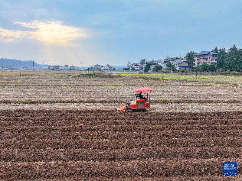 सर्दियों में खेतों की भरपूरफसल का नज़ारा