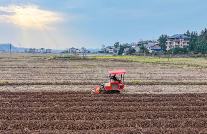 सर्दियों में खेतों की भरपूरफसल का नज़ारा