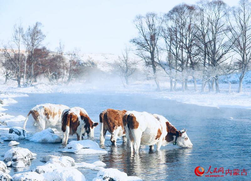 न जमने वाली नदी: आर्षान शहर की सर्दियों में छुपा पारिस्थितिक सौंदर्य