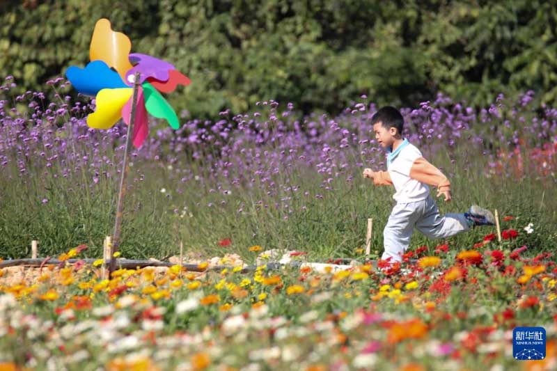 शीत ऋतु की चित्रावली