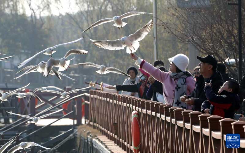 शीत ऋतु की चित्रावली