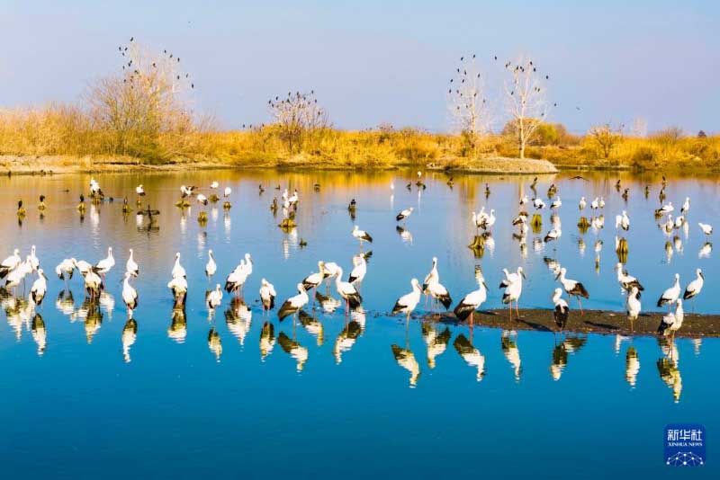 शीत ऋतु की चित्रावली