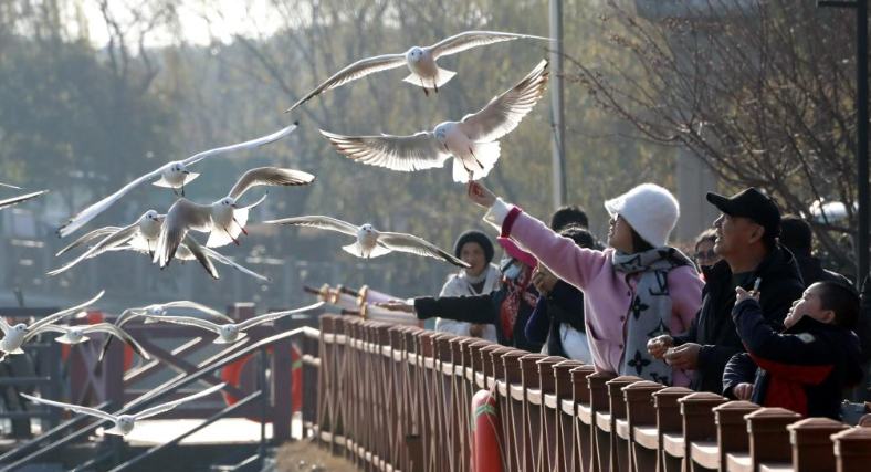 शीत ऋतु की चित्रावली