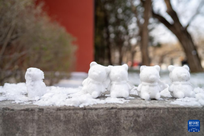 हिमपात के बाद पेइचिंग शहर की मनोहारी झलकियाँ