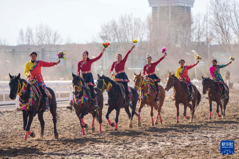 शीत्सांग में अश्व-वर्ष का नववर्षोत्सव, घोड़े पर नए वर्ष का स्वागत