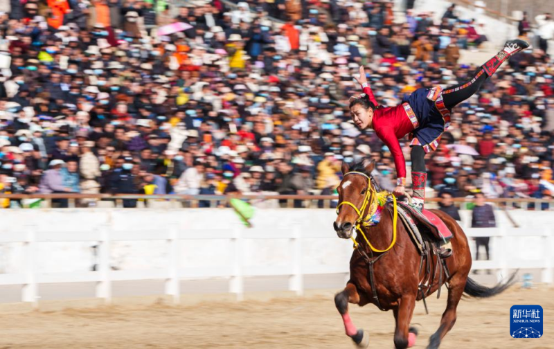 शीत्सांग में अश्व-वर्ष का नववर्षोत्सव, घोड़े पर नए वर्ष का स्वागत