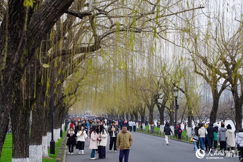 हांगझोऊ में वसंत: शीहु झील की हरियाली से दक्षिणी चीन मंत्रमुग्ध