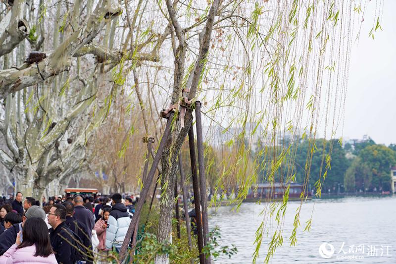 हांगझोऊ में वसंत: शीहु झील की हरियाली से दक्षिणी चीन मंत्रमुग्ध