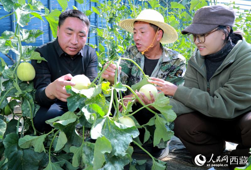 पठारीय ग्रीनहाउस अब स्मार्ट नियंत्रण प्रणाली से संचालित