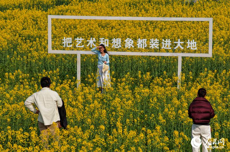 जियांग्शी के नानचांग में खिले सरसों के फूल, बसंत की छटा बिखरी