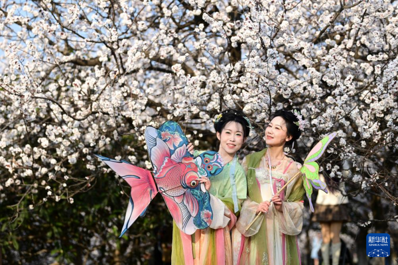 शीआन में बसंत के आगमन पर खिले फूल