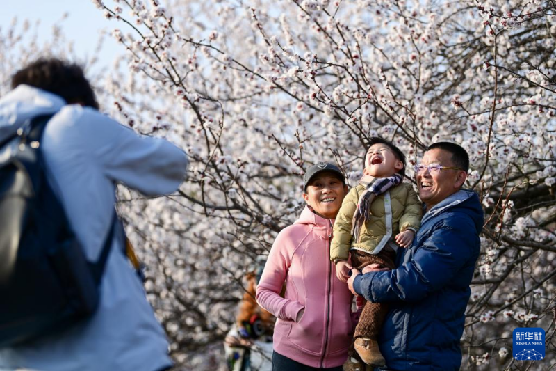 शीआन में बसंत के आगमन पर खिले फूल
