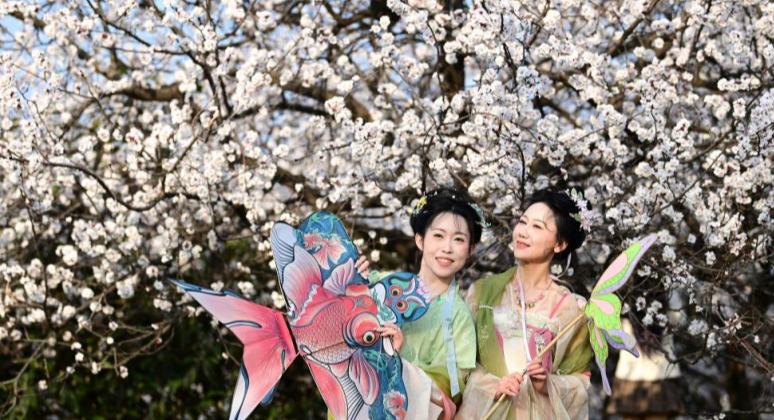 शीआन में बसंत के आगमन पर खिले फू