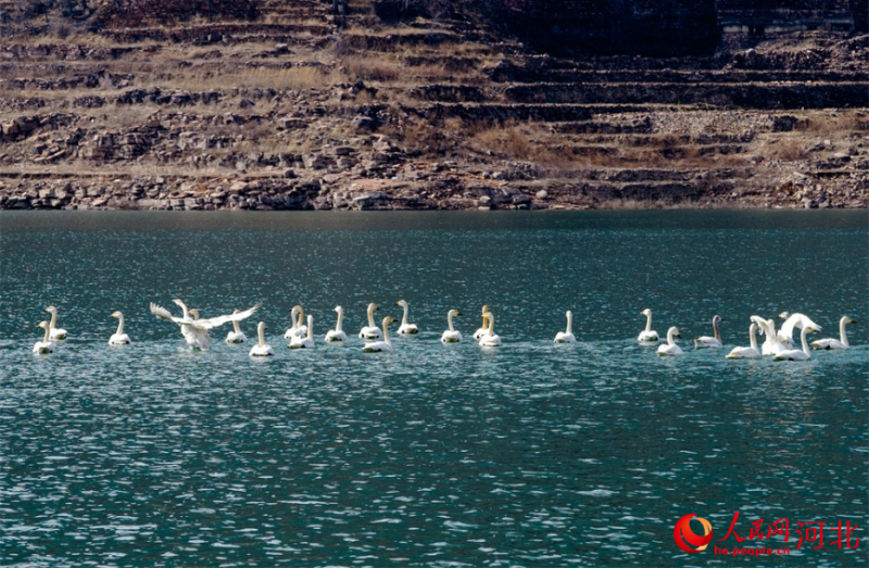 हेबेई-वूआन: ताइहांग की हिमाच्छादित शृंखलाएँ निखरीं, घाटियों में बर्फ और झीलों में वसंत की छटा