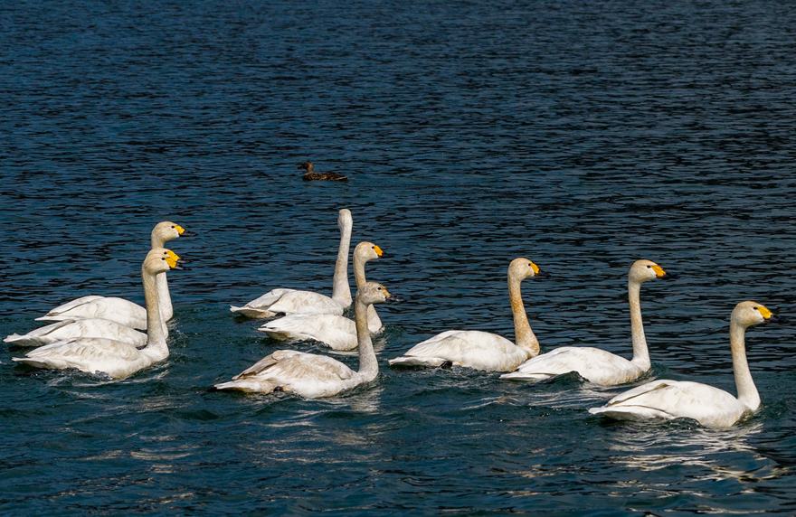 हेबेई-वूआन: ताइहांग की हिमाच्छादित शृंखलाएँ निखरीं, घाटियों में बर्फ और झीलों में वसंत की छटा