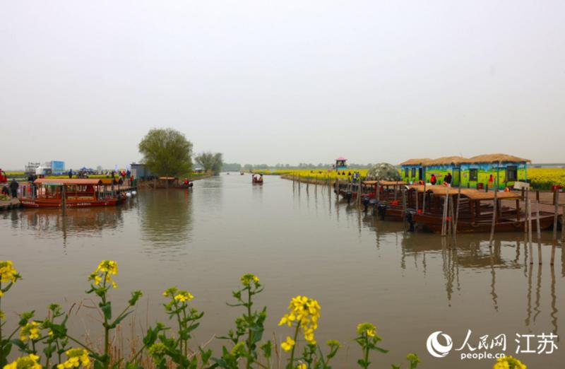 जियांगसू के गाओयू में “फूलों का सागर” सैलानियों के स्वागत को तैयार