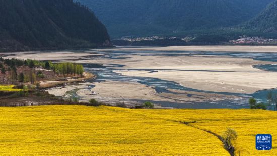 शीत्सांग के बोमी: ईगोंग घाटी में वसंत अपने चरम पर