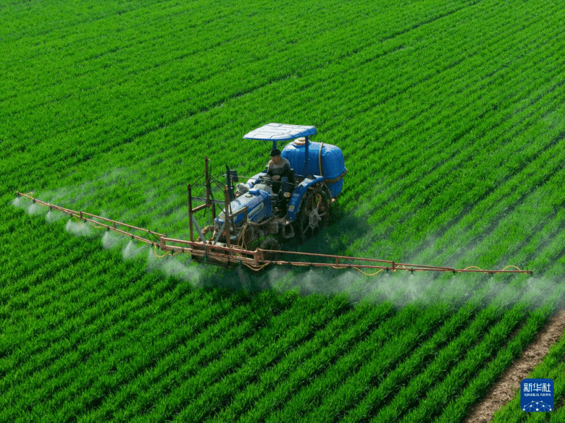 वसंत की मधुर बयार में जोरों पर कृषि कार्य