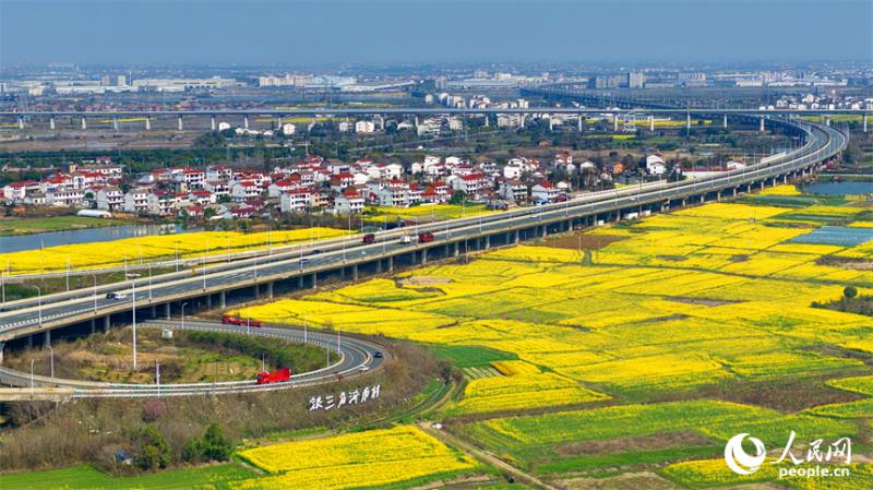 चियांग्शी प्रांत में नानचांग: सुगम मार्गों पर प्रकृति का मनमोहक संगम