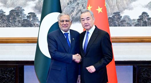 वांग यी ने पाकिस्तान के उपप्रधानमंत्री एवं विदेश मंत्री इशाक डार के साथ मुलाकात की