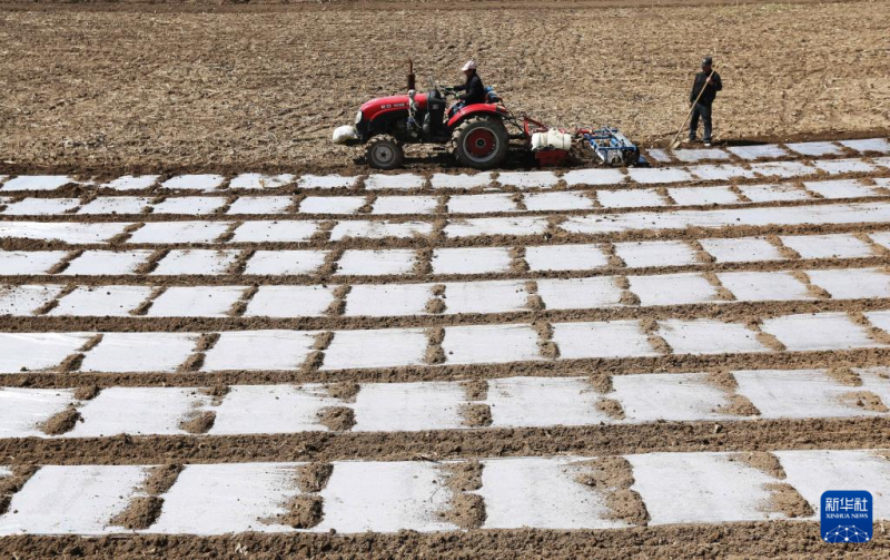 लोएस पठार क्षेत्र में कृषि कार्य जोरों पर