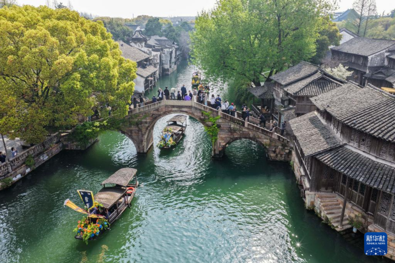 जियांगनान के प्राचीन गाँव में वसंत ऋतु के रेशमी फूलों के महोत्सव की शुरुआत