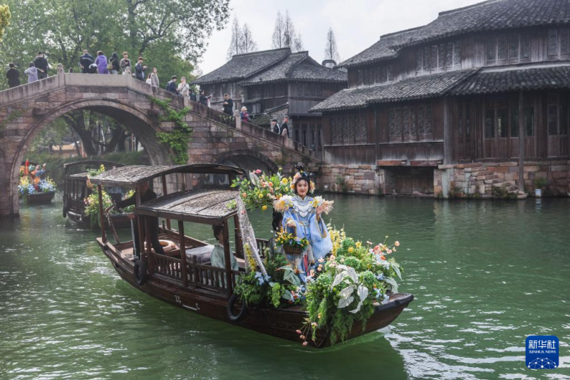 जियांगनान के प्राचीन गाँव में वसंत ऋतु के रेशमी फूलों के महोत्सव की शुरुआत