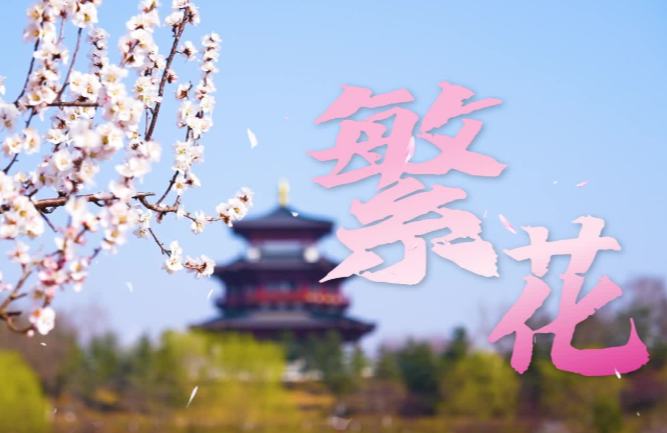 श्योंगआन नये क्षेत्र में बसंत की बहार : खिले फूल, लहराते जल ने रचा मनमोहक दृश्य