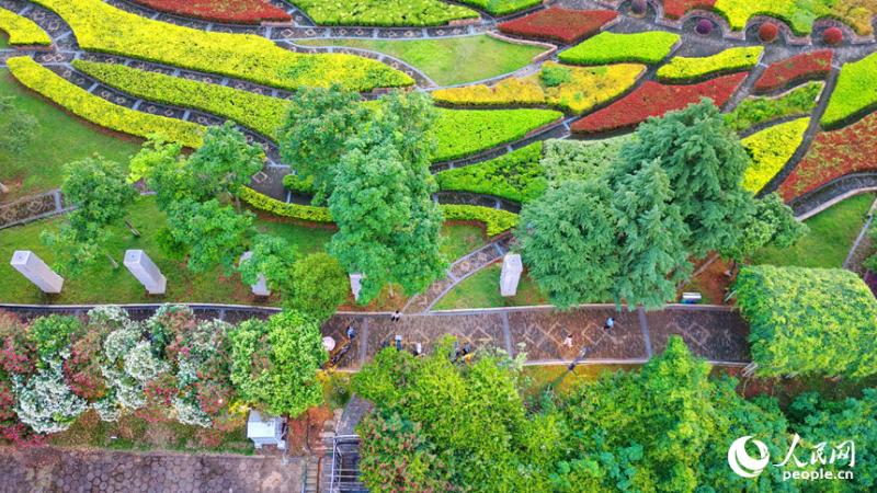च्यांगशी के नानछांग में आर्द्रभूमि पार्क की हरियाली बनी आकर्षण का केंद्र