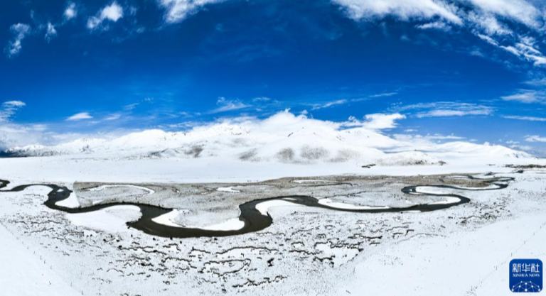 चांगथांग में शुरुआती गर्मी के बीच लगातार बर्फबारी का नजारा