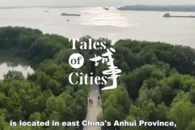 वूहू की विकास भरी उड़ान: प्राचीन शिल्पकला से अत्याधुनिक स्मार्ट विनिर्माण तक